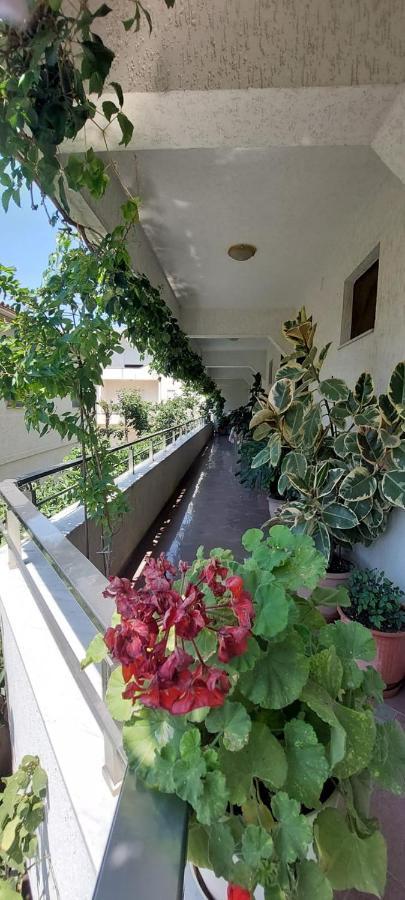 Villa Madani Durrës Exterior foto